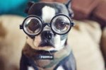 Free eye test at Vision Express starts From Wed 8 Mar