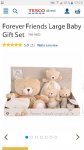 Forever Friends Large Baby Gift Set