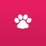 My Cat - Health & Care - Free