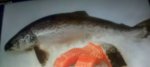 Half price whole salmon a kilo