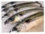 Asda fish counter whole mackerel a fish
