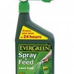 Evergreen 1L spray and feed 99p instore @ Wickes