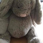 Sainsburys large bunny (instore)