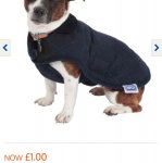 RSPCA Dog Coats