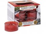 Yankee candle 12pk