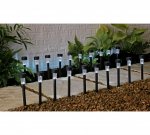Multipack solar lights reduced eg 20 pack - 75p each more in post