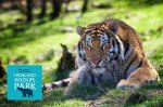 2 adults 1 day entry to the Highland Wildlife Park