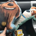 Secret Life of Pets Pillows