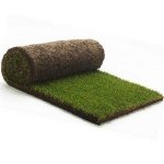 Travis Perkins Rolawn Medallion Turf 1m² Rolls per roll