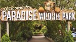 Family four (2A/2C) tickets to Paradise Wildlife park AND Hotel stay from £21pp