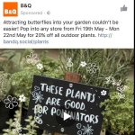 B&Q all outdoor plants - 19th-22nd May