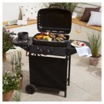 2 burner gas BBQ with side burner