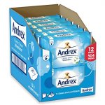 Andrex Washlets 12pk