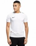 Nike Academy 17 Dri fit T-shirt from JD sports - C&C