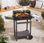 Decent sized rectangular Trolley Charcoal BBQ Online