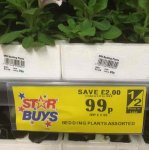 6pk Bedding Plants for 99p! Home Bargains