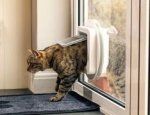 Sureflap Microchip Cat Flap at Amazon (Sold by Mr Pets)
