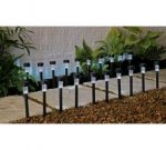 Stainless Steel Solar Marker Lights - Set of 6 / Home Set of 20 @ Argos (+ 20% off with code wys £25) more in op