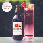 Samples of Rekorderlig (various dates and venues) with the Rekorderlig Lagom Tour