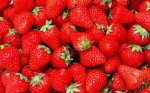 Strawberries 400g £1.19 @ Lidl instore
