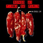 Latin American Salsa Album - SONGO 21 - Studio sessions