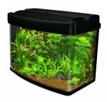 Interpet Fish Pod Glass Aquarium Fish Tank - 64 L Prime members with automatic discount on check out