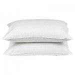 Medium Anti-Allergy, Anti-Bacterial Pillows, 2 Pack