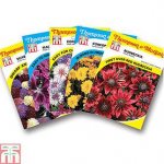 36 FREE* Pansy plants,100g Fertiliser & 5 packets of Seed