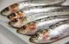 Morrisons counter sardines per kg