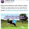 FREE CADBURY BUTTONS - tweet