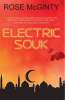Top Rated Thriller - Rose McGinty - Electric Souk: A gripping thriller about trust and treachery Kindle