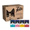 Felix Mixed Jelly and Gravy Cat Food 80 x 100g Pouches
