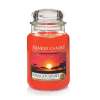 Yankee Candle Large Jar Candle, Serengeti Sunset (Prime or £12.98 non prime)
