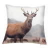 Half price cushions