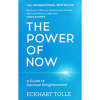 The Power of Now by Eckhart Tolle (paperback)