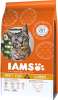 IAMS Adult Cat Food Chicken 3kg