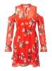  Miss Selfridge - 50 dresses £15 each