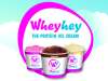  WheyHey! Protein Ice Cream only 99p at Home Bargains Vanilla/ Chocolate for 4 small tubs
