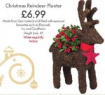 Christmas Reindeer Planter - LIDL - Thurs 17th December - Already in some