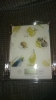 George Home flat digital scale Asda Chorley