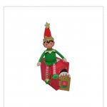 Santas little helper