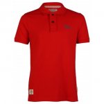 Various Polo Shirts using code
