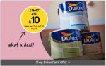 Dulux paint @ wilkinson