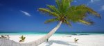 4* Cancun holidays for £445.00pp -inc. flights, 14 nights hotel (4/5 TripAdvisor), luggage & connections