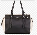 Fiorelli Darcy bag for £29.00 with free delivery
