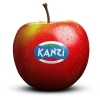 Kanzi Apples - 6 Pack 670g