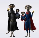 Free Limited Edition Superman or Batman Meerkat toy compare the market (when you buy an insurance policy)