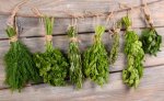 31g Fresh Cut Herbs: Parsley, Dill, Rosemary, Thyme, Coriander, Mint