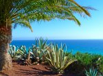 Canary Islands holiday from £83.00pp - incl. flights, 7 nights hotel (4/5 TripAdvisor) & transfers! 
