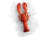 MSC whole lobster 350g @ lidl + other seafood deals